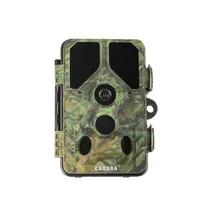 caruba-wildcamera-toad-full-hd.jpg