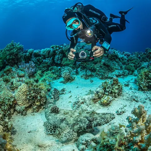 Sealife-Sea-Dragon-3000SF-PRO-DUAL-BEAM-UW-Photo-Video-light-head_9.jpg