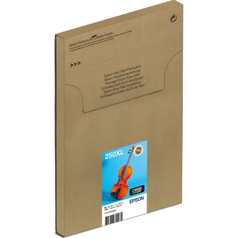 Epson-Multipack-6-colours-250XL-Ink-Easymail_1.jpg