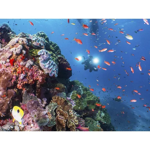 Sealife-Sea-Dragon-5000-Color-Boost-COB-LED-Photo-Video-Light_14.jpg