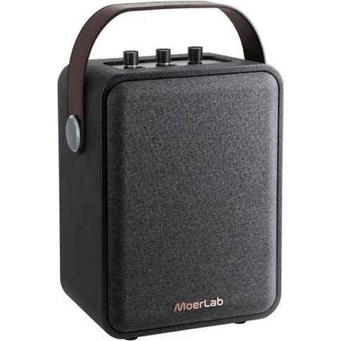 MoerLab-The-Show-Auracast-Draadloze-Speaker_1.jpg