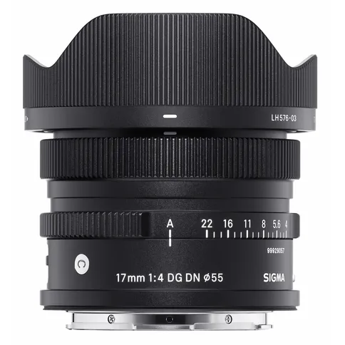 Sigma_LMount_17mm_f4_4.jpg