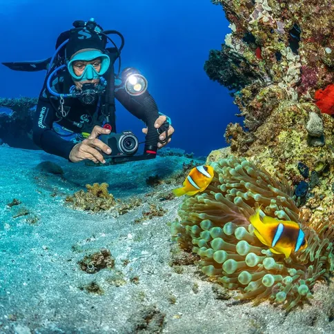 Sealife-Sea-Dragon-3000SF-PRO-DUAL-BEAM-UW-Photo-Video-light-head_7.jpg