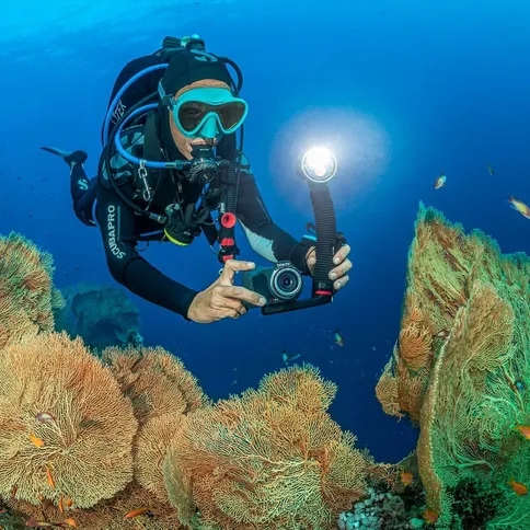 Sealife-Sea-Dragon-3000SF-PRO-DUAL-BEAM-UW-Photo-Video-light-head_10.jpg