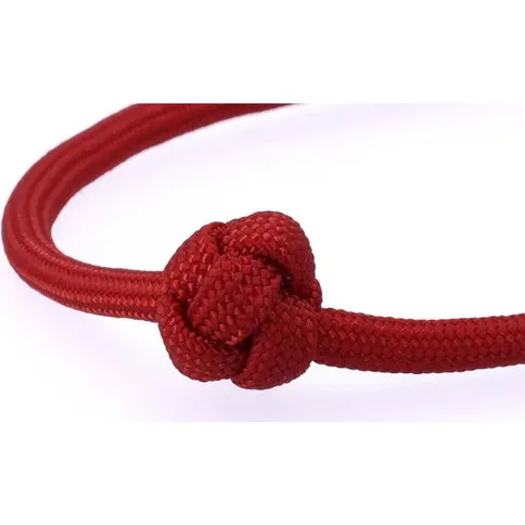 Artisan-Artist-ACAM-P04H-rood_4.jpg