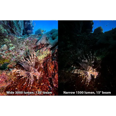 Sealife-Sea-Dragon-3000SF-PRO-DUAL-BEAM-UW-Photo-Video-light-head_6.jpg