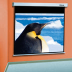 Reflecta Projection Screen Crys-L. 240x189cm Rollo