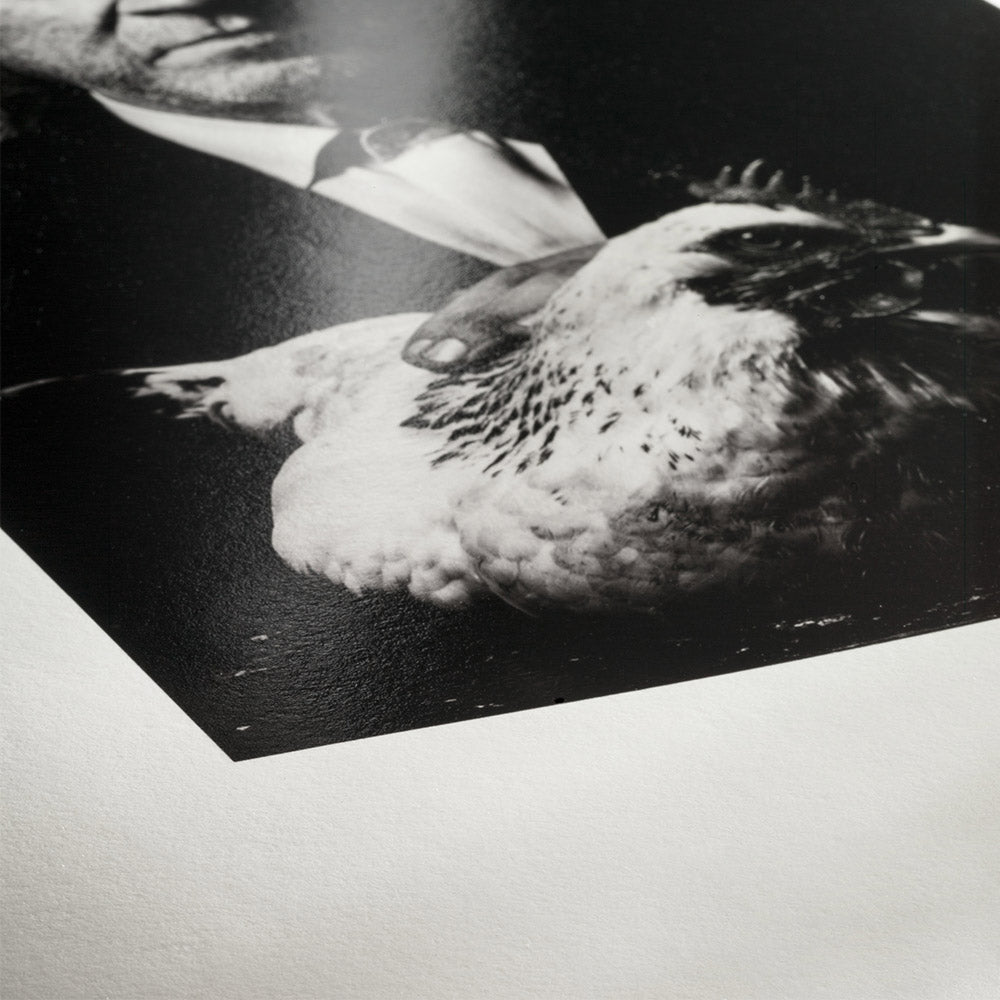Hahnemuhle Photo Rag barite 315 gsm 10x15cm 30 sheets