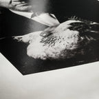 Hahnemuhle Photo Rag barite 315 gsm 10x15cm 30 sheets