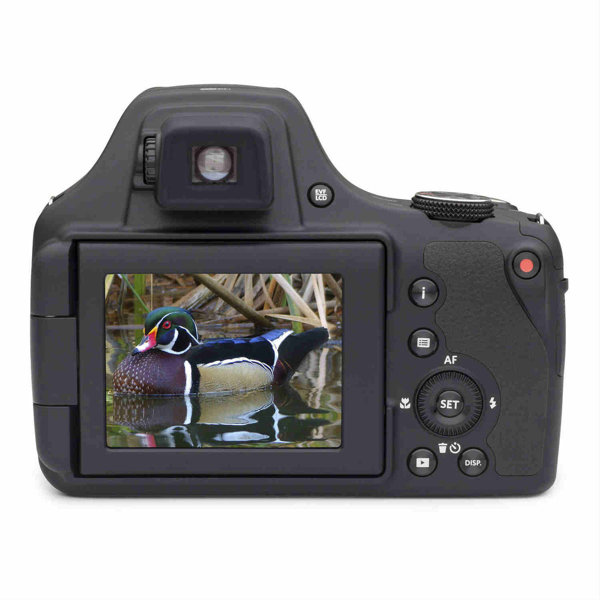 Kodak Pixpro AZ901 negro