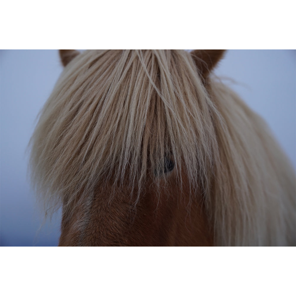 Sony Alpha A7R II Body (E-Mount) (Ex-Demo)