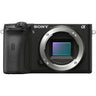 Sony A6600 cuerpo