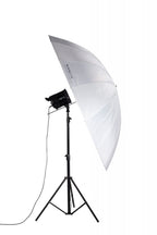 Nanlite Umbrella Shallow Translucent 180cm