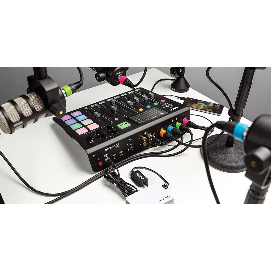 RØDE XLR-ID set or 8 colours ringen