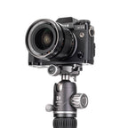 Benro Ball Head VX25