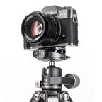 Benro Ball Head GX25