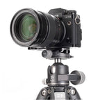 Benro Ball Head GX35