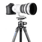 Leofoto PL-200 lensplate