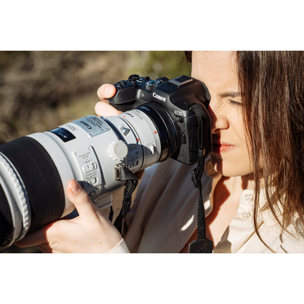 Canon EOS R7 cuerpo