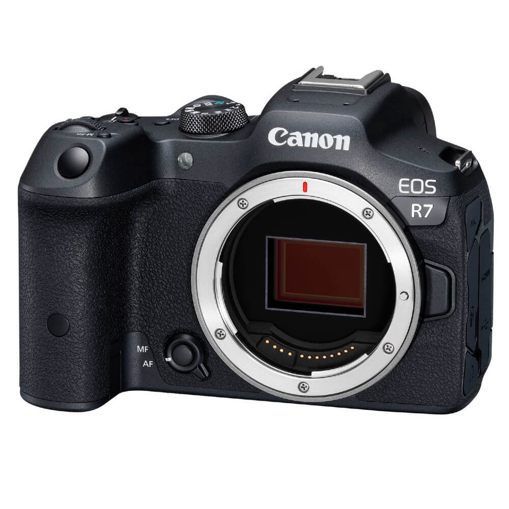 Canon EOS R7 cuerpo