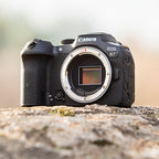 Canon EOS R7 cuerpo