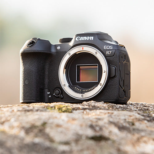 Canon EOS R7 cuerpo