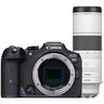 Canon EOS R7 + RF 200-800mm f/6.3-9 IS USM