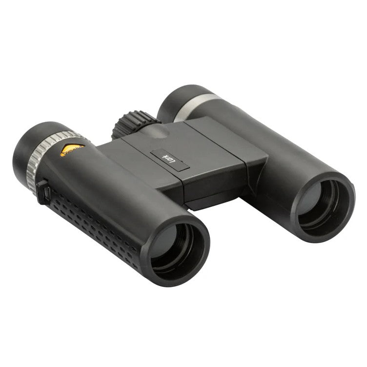 Bynolyt Lark 10x25