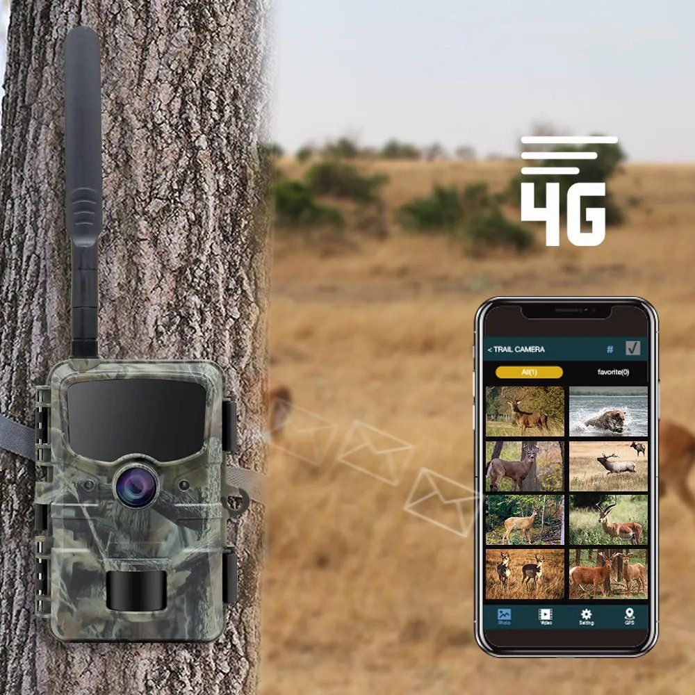 Stealth Gear Hedgehog 1080p 4G Cámara de vigilancia para fauna silvestre