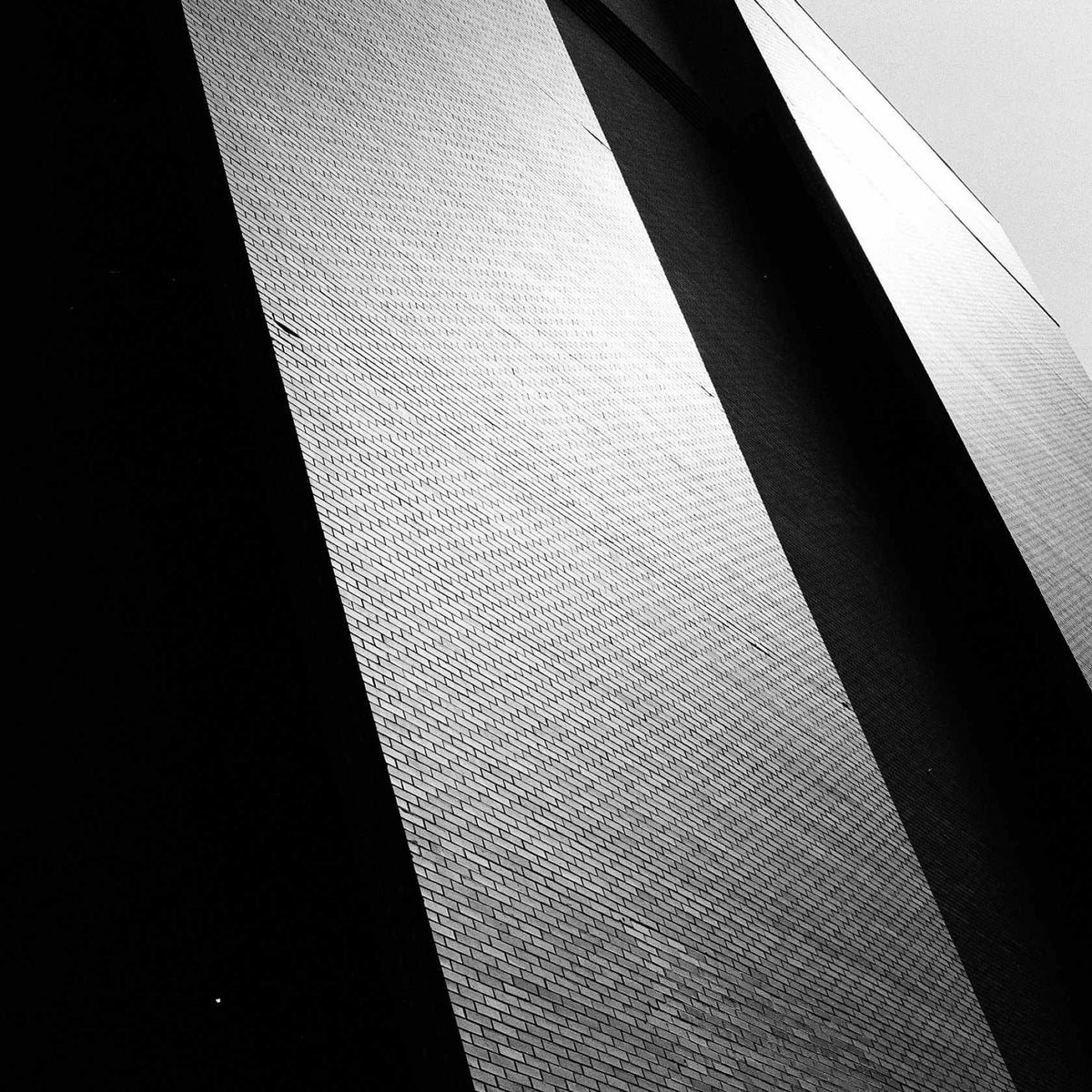 Kodak Tri-X 400 - 135-24