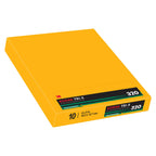 Kodak Tri-X 320 TX-  4x5" / 10 Sheets