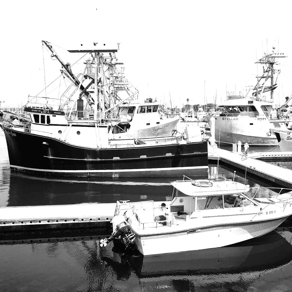 Kodak Ektapan 100 - 135-36
