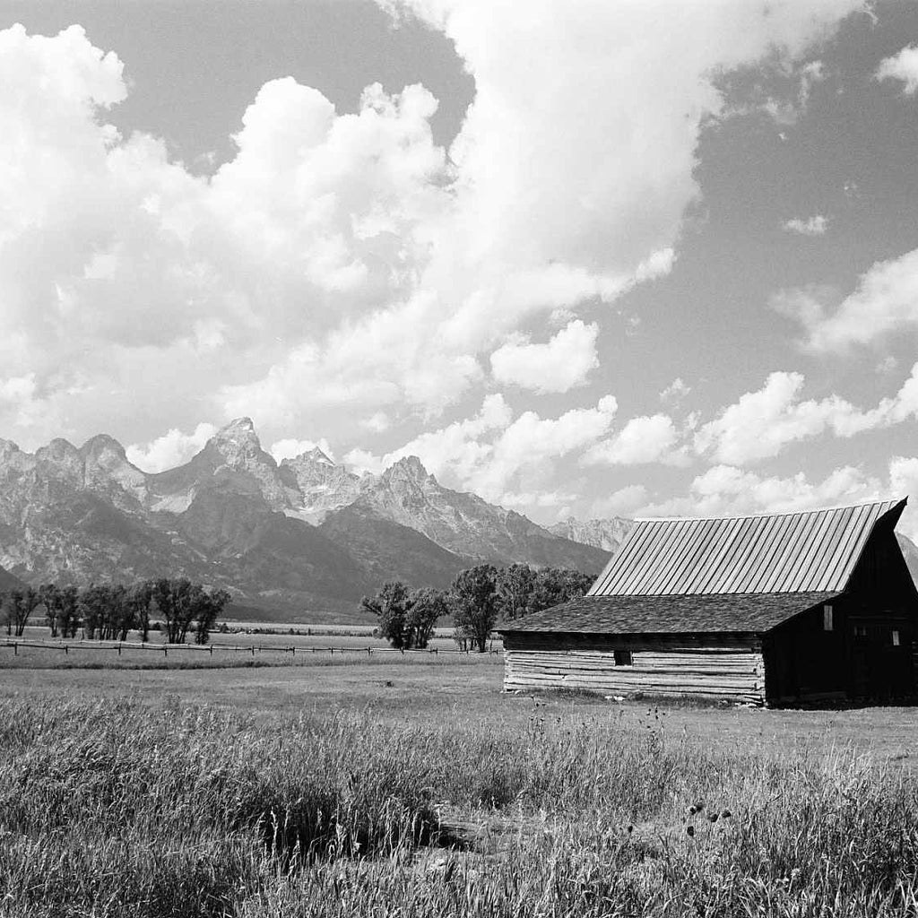 Kodak Ektapan 100 - 135-36