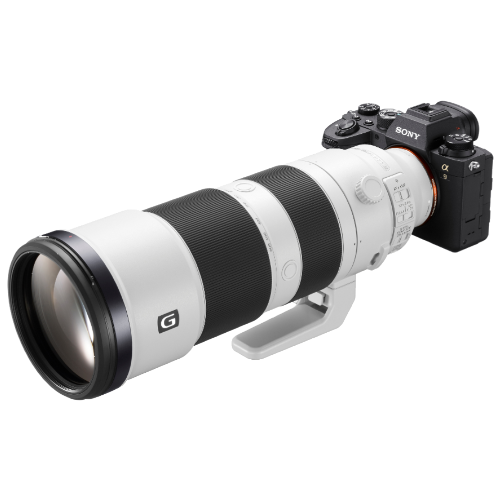 Sony A9 Mark II + 200-600 mm FE F/5.6-6.3 G OSS