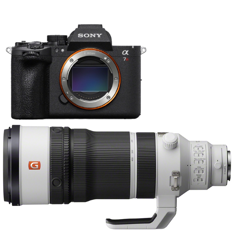 Sony A7R VI + FE 100-400mm F/4.5 GM OSS