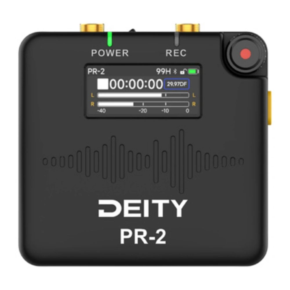 Deity PR-2 Grabadora de bolsillo estéreo con micrófono de solapa